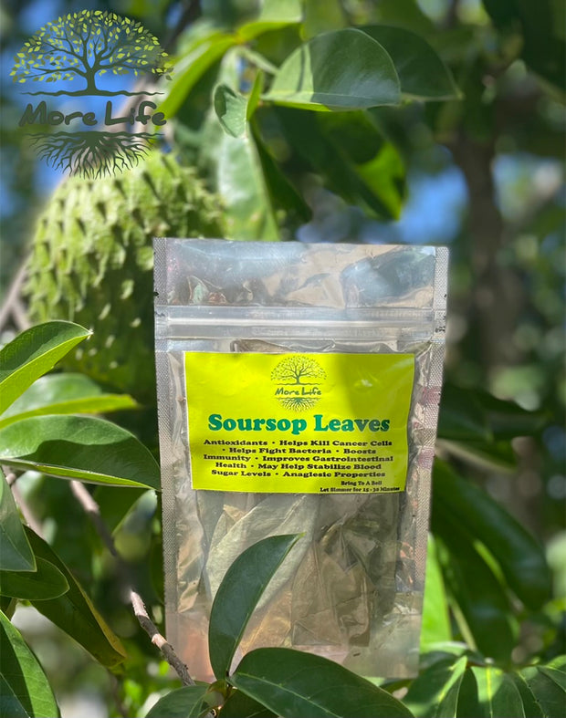 Soursop Leaves